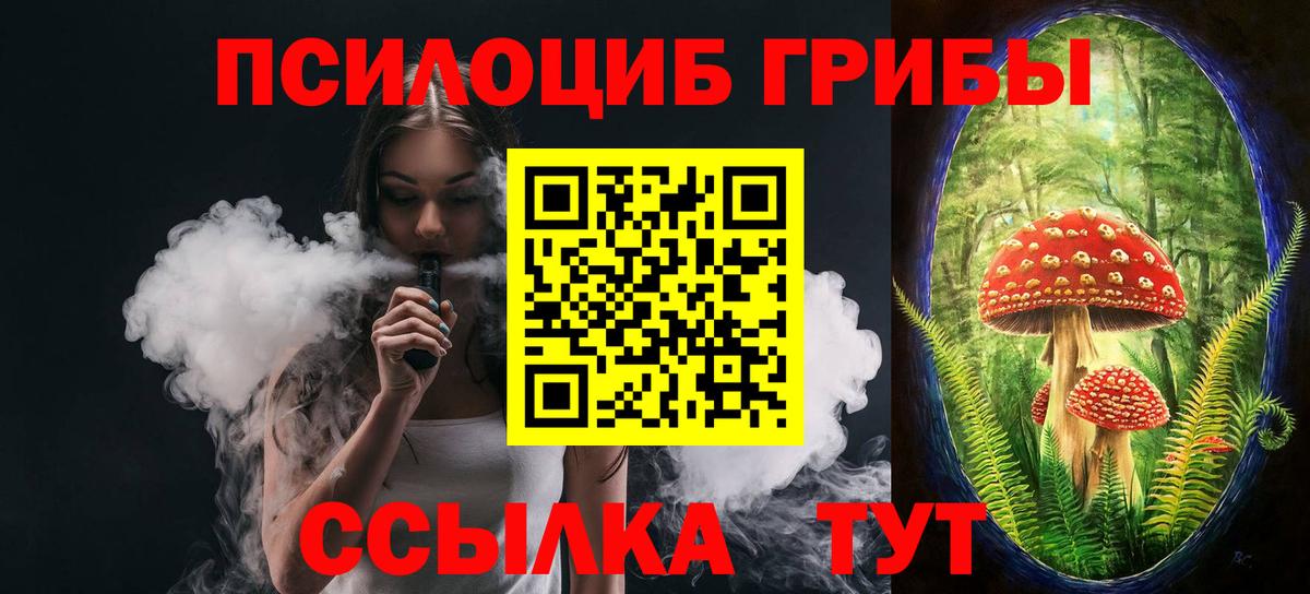 Галлюциногенные грибы Psilocybe  Вход с VPN  Отрадный 